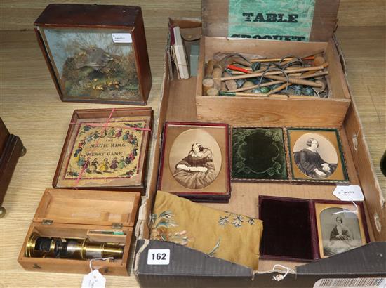 Mixed collectables, including a taxidermic Goldcrest,